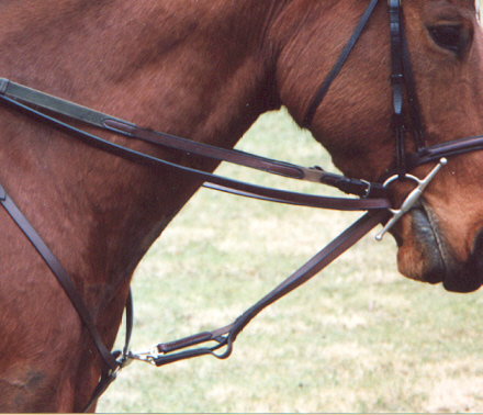 Rein-Aid® Productions | "Helping you to help your horse"